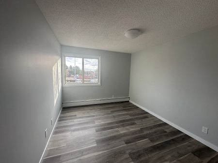 Small Pet Friendly Spacious 3-Bedroom Apartment - Photo 4