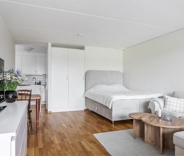 Växthusvägen, Bro - Photo 3