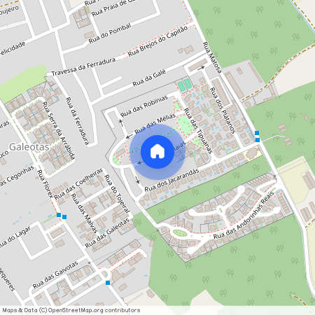 Rua das Olaias, Sobreda, Setúbal Municipality 2815