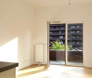 Q5 am PARK sonnige 2ZI mit 7m² West/ Balkon - Foto 3