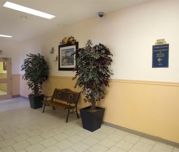 Canboro Garden - Photo 1