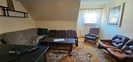 Gliwice, Ptasia - Zdjęcie 3