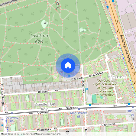 Warszawa Wola Koło, Przy Lasku