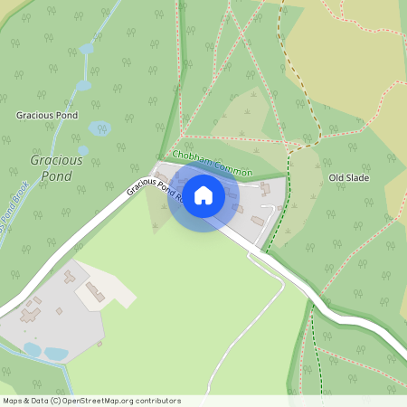 Gracious Pond Road, Woking, GU24