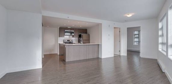 GORGEOUS 1 BDR APT, PET FRIENDLY-RICHMOND (STEVESTON HWY & NO 5 ROAD) - Photo 2