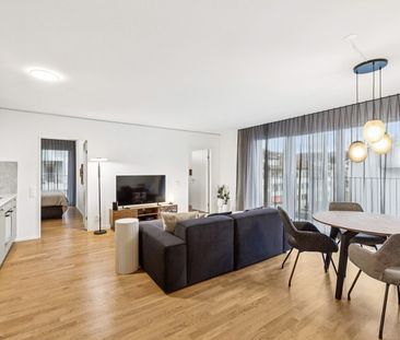 Design apartments in Lisbon style Directly at Muttenz train station - Photo 3
