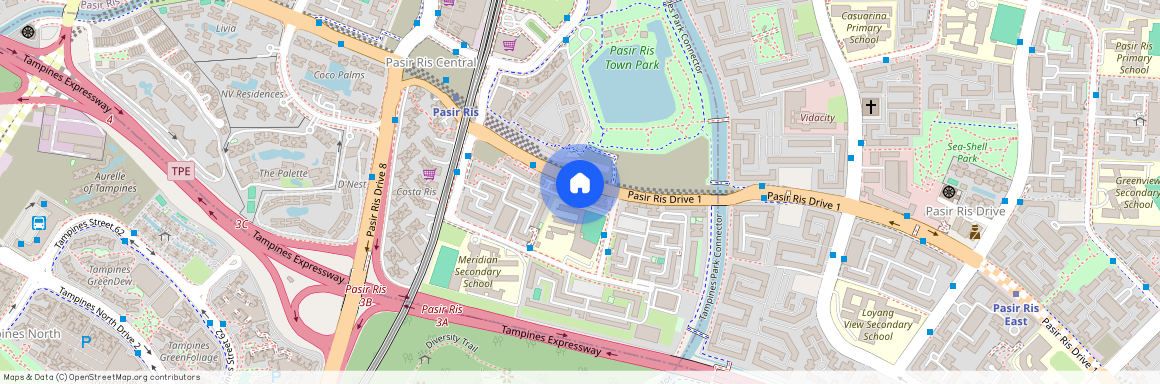 541 Pasir Ris Street 51 (510541), Singapore