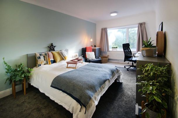 4 bedroom house share to rent - Photo 1