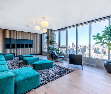 2300 Rue Tupper, Montréal - Photo 3