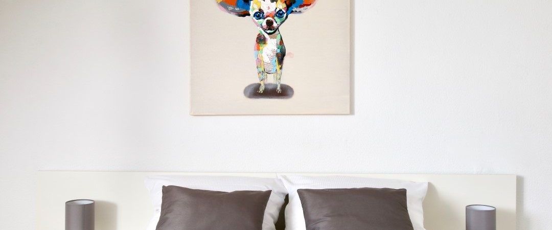 City Living - Apartment Nähe Zülpicher Platz - Photo 1