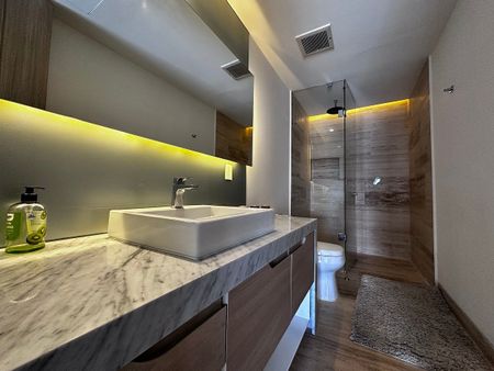 DEPARTAMENTO EN RENTA AMUEBLADO EN HYATT ANDARES - Photo 2