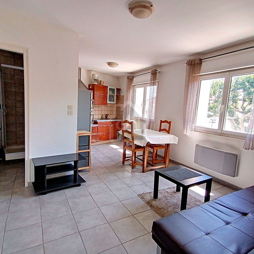 Appartement meublé Bollene 2 pièce(s) 30 m2, - Photo 1