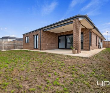 The Perfect Family Home – Space, Comfort & Convenience - Photo 6