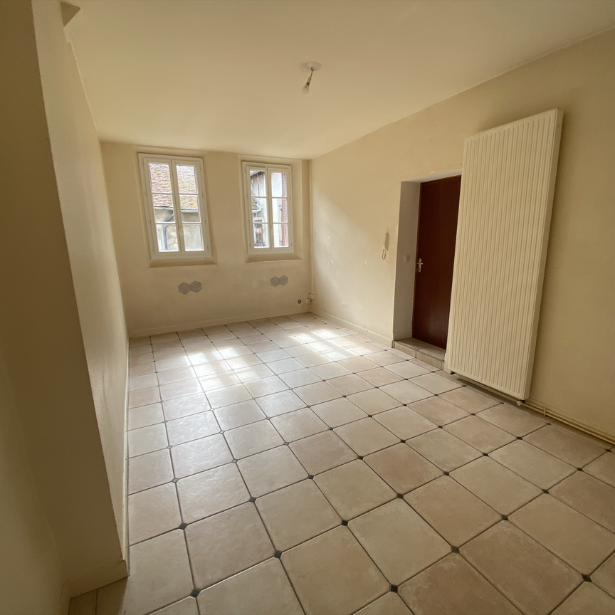 Location Appartement 2 pièces 52m² VILLENEUVE SUR YONNE 89500 - Photo 1