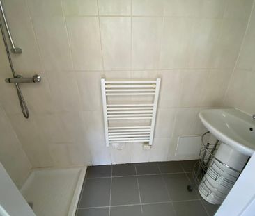 Location Appartement 1 pièce 19m² VALS LES BAINS 07600 - Photo 4
