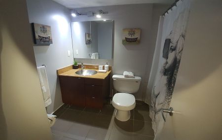 For Lease - 33 Lombard Street Unit# 314, Toronto, Ontario - Photo 3