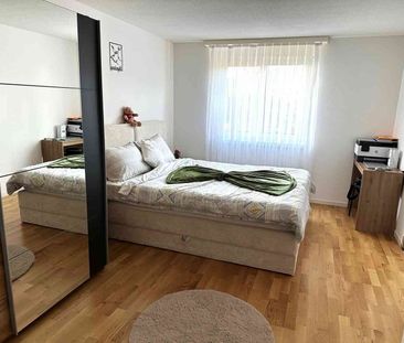 2.5 Zimmer, 52 m², 1. Stock - Photo 2