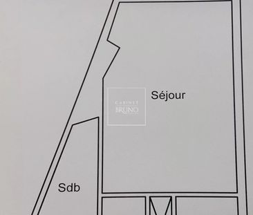 Location Appartement 1 pièce 23m² CANNES 06400 - Photo 1