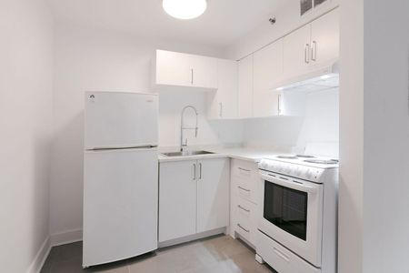 25 Avenue des Pins O, Montréal, QC - Photo 3