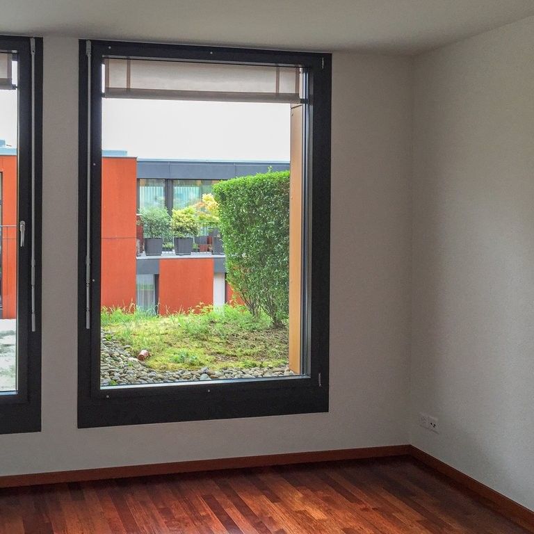 2 ½ Zimmer-Wohnung in Zürich mieten - Photo 1