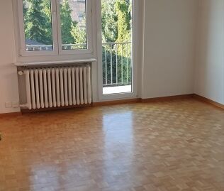 Appartement lumineux de 2 pièces dans un endroit calme sur le Höngg... - Foto 2