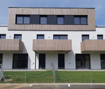 SCHEIBBS XXI/3 - Photo 3