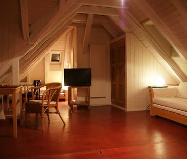 1.5 Zimmer, 45 m² - Photo 1