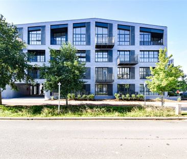 A beautiful 2 bedroom apartment situated in this popular developmen... - Photo 6