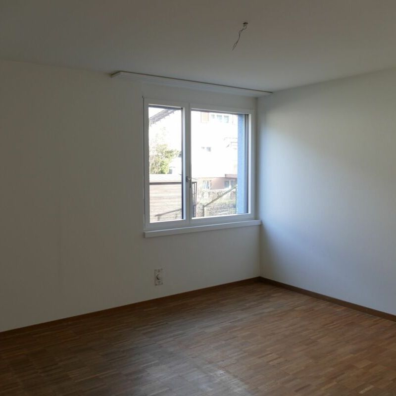 2.5-Zimmerwohnung mit Gartensitzplatz an der Breitgartenstrasse 16 in Breitenbach - Photo 1