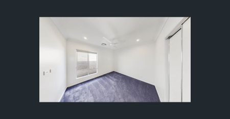 Modern Home with Character in Newport QLD - Lawn Maintenance Included! - Photo 3