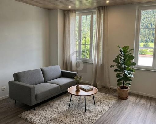 RÉNOVÉ, SPACIEUX ET LUMINEUX - Foto 1