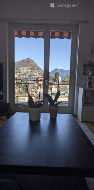 Cercasi Subentrante Appartamento 2.5 locali arredato - Photo 1