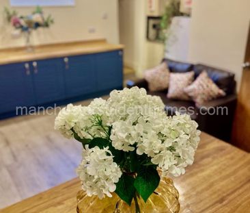 Birchfields Road, Manchester, M13 0XX - Photo 4