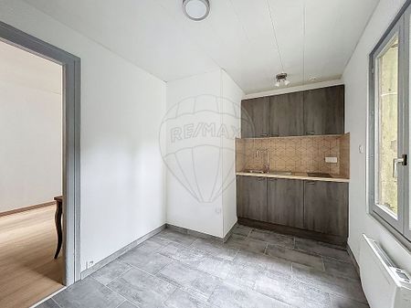 Appartement 1 chambre(s) à louer - Montbéliard - Photo 3