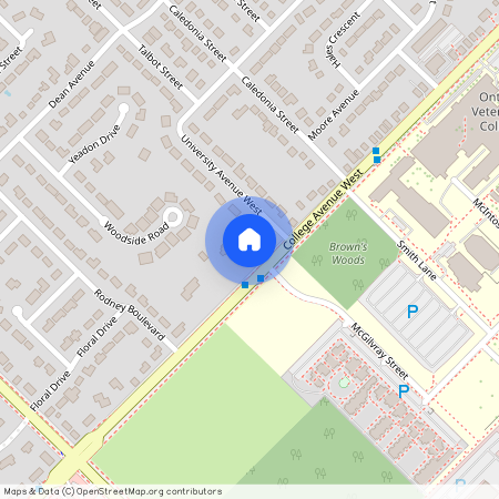 77 College Ave W unit b, Guelph, ON, Canada