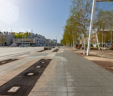 Klimatyczna kawalerka w zadbanej kamienicy - Photo 1
