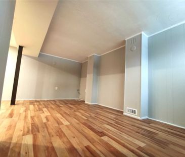 For Lease - 126 Sheldon Avenue Unit# Lower, Newmarket, Ontario - Photo 2