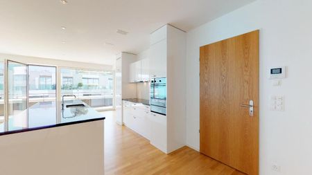 "Zwei eigene Terrassen mitten in der Stadt Luzern!" - Foto 2