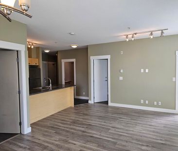 Spacious On Holland! - Photo 6