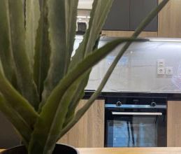 Διαμέρισμα για ενοικίαση - Μέγαρα, - Photo 6