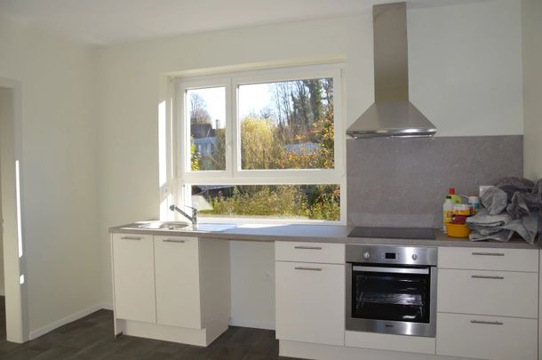 Location Maison 7 pièces 135m² ALTKIRCH 68130 - Photo 1