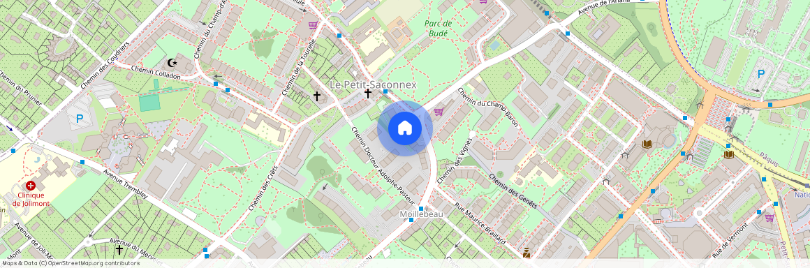 1209, Genève, Rue de Moillebeau, 57