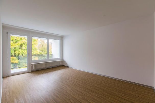 3 Zimmer, 67 m², EG - Photo 1