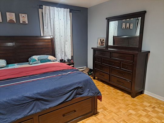 Rue Émile-Gauthier, H8R 4B9, Montréal - Photo 1