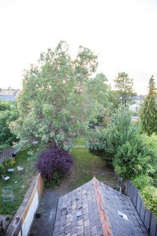 1 Bed Flat, Whittington Road, N22 - Photo 5