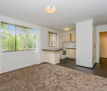 66/58 Wattle Street, Lyneham ACT 2602 - House For Rent | Domain - Photo 4