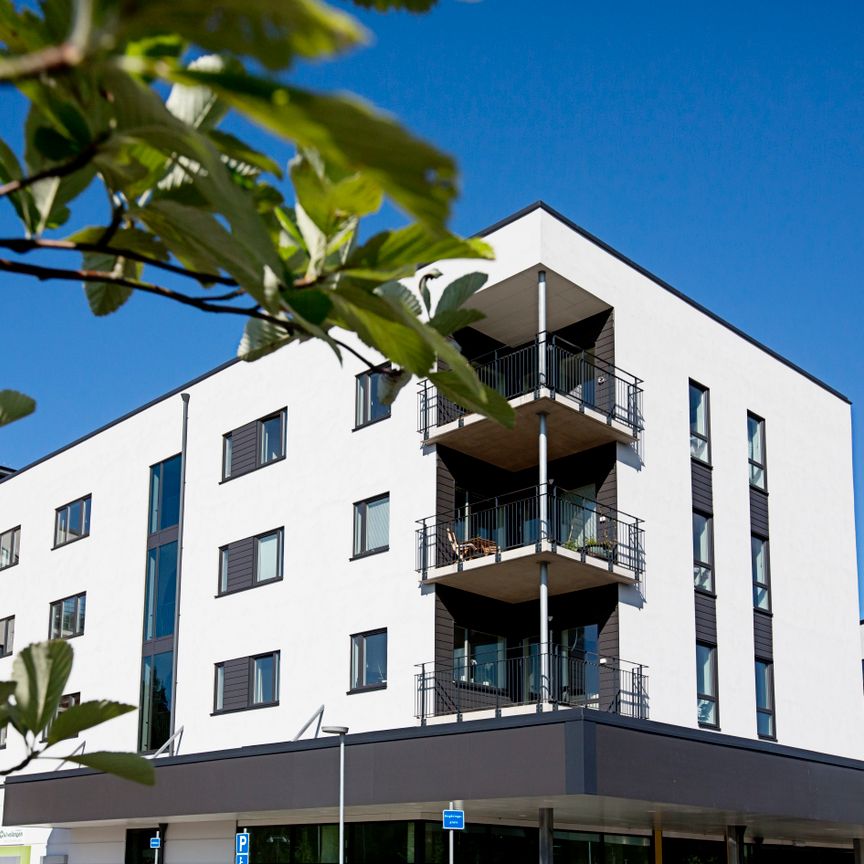 Rubingatan 3C - Foto 2