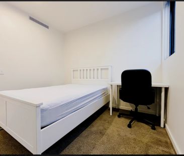 2 bed 2 bath-109 - Photo 6