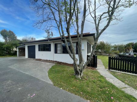 Havelock Living - Photo 3