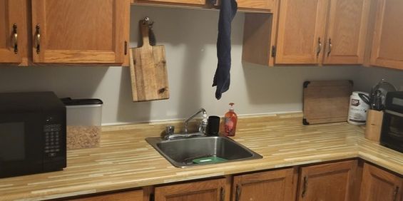 Recherche Coloc Dans Beau 4 1/2 - Photo 3